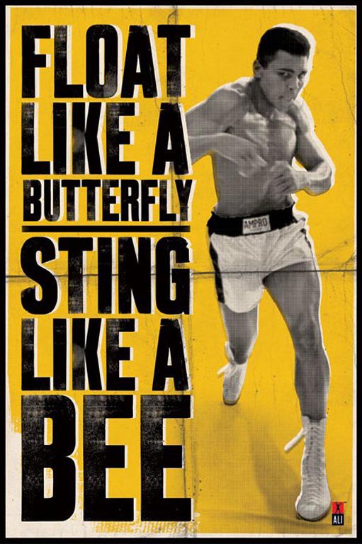 float-like-a-butterfly-sting-like-a-bee-Muhammad-Ali1.jpg