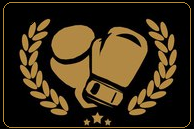 Boxing Kiev Logo_1.PNG