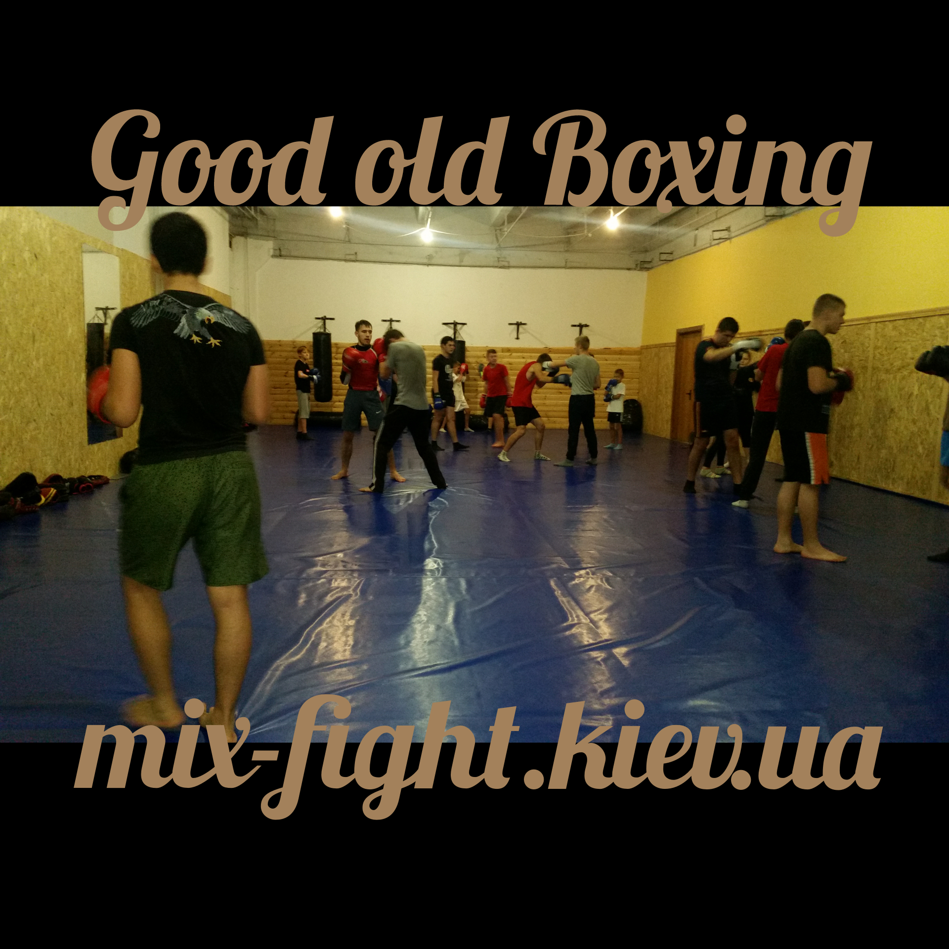 ММА Киев 120 mix-fight.kiev.ua.jpg
